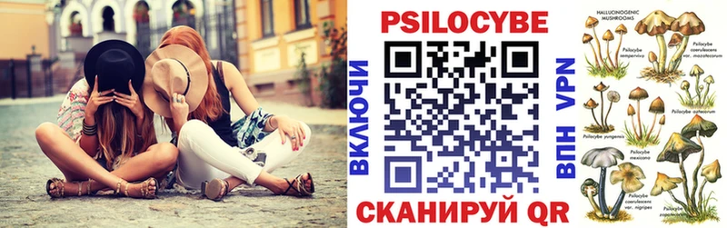 Галлюциногенные грибы GOLDEN TEACHER  наркотики  Зеленогорск 