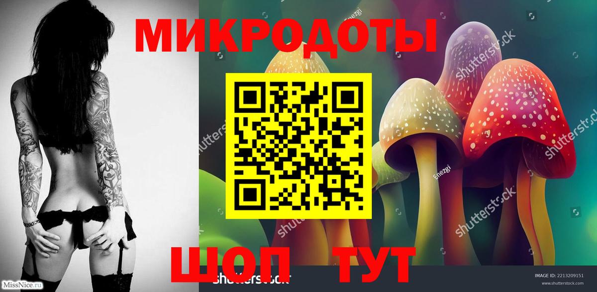 Галлюциногенные грибы Psilocybine cubensis  Галлюциногенные грибы мицелий  Вход с VPN  Зеленогорск 